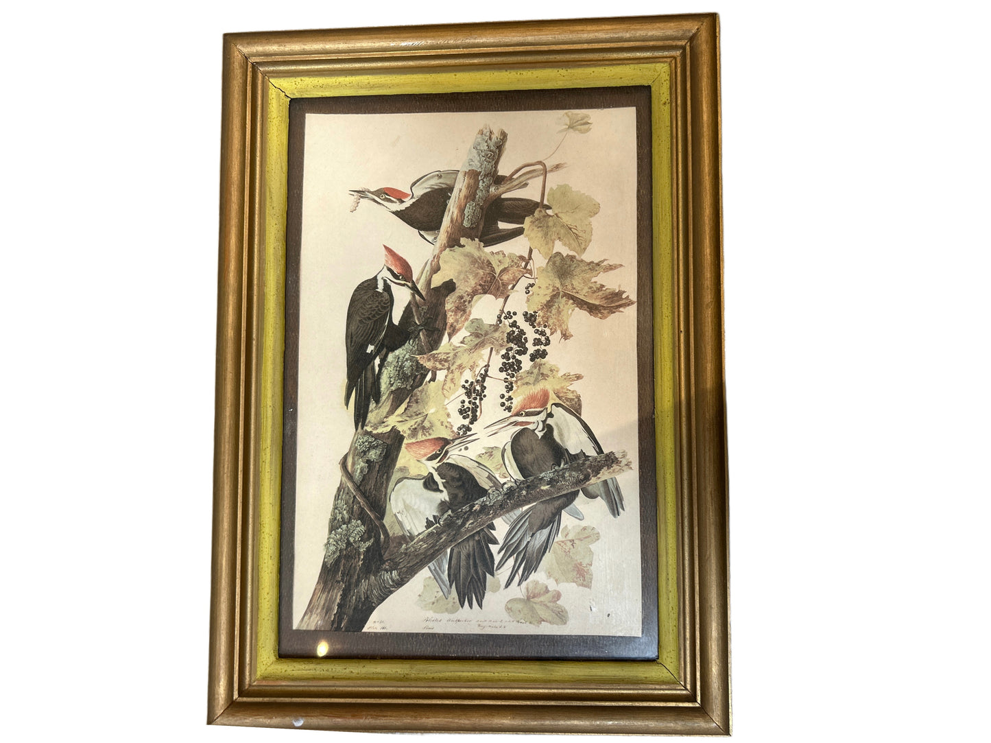 The Birds Painting is a framed illustration of four woodpeckers on a tree branch with leaves and berries, set in a gold and brown wooden frame.