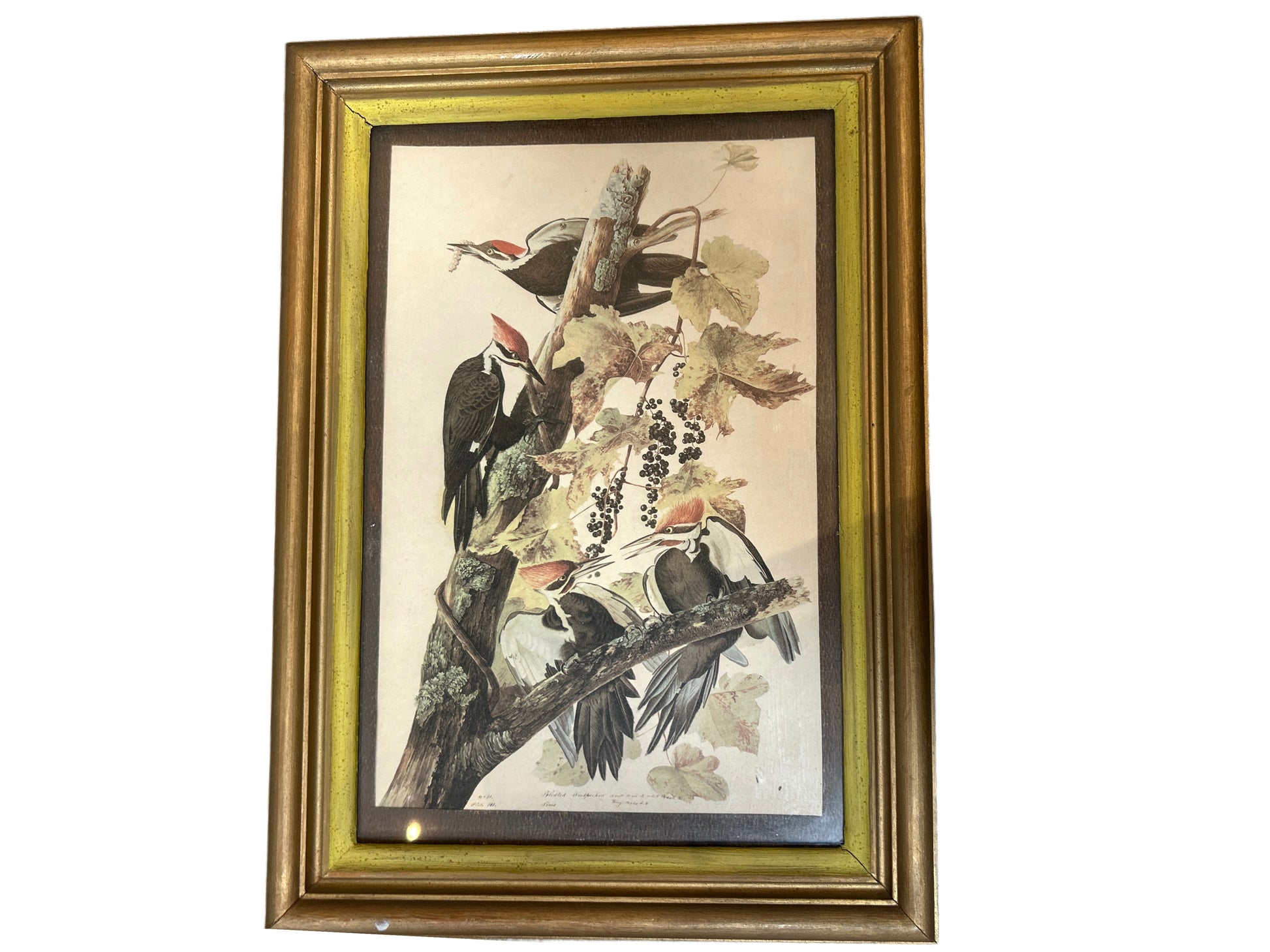 The Birds Painting is a framed illustration of four woodpeckers on a tree branch with leaves and berries, set in a gold and brown wooden frame.