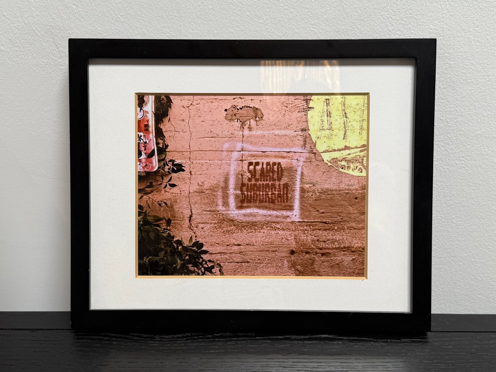 Scared Suburban Wall Art: Framed photo (15.25" x 12.25") featuring “Scared Children” stenciled in white on a reddish-brown graffiti-tagged wall, with faded art and foliage around the edges.