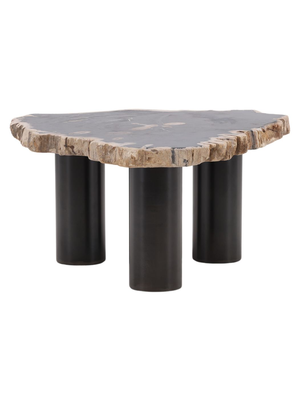 Petrified Wood Coffee Table - Large