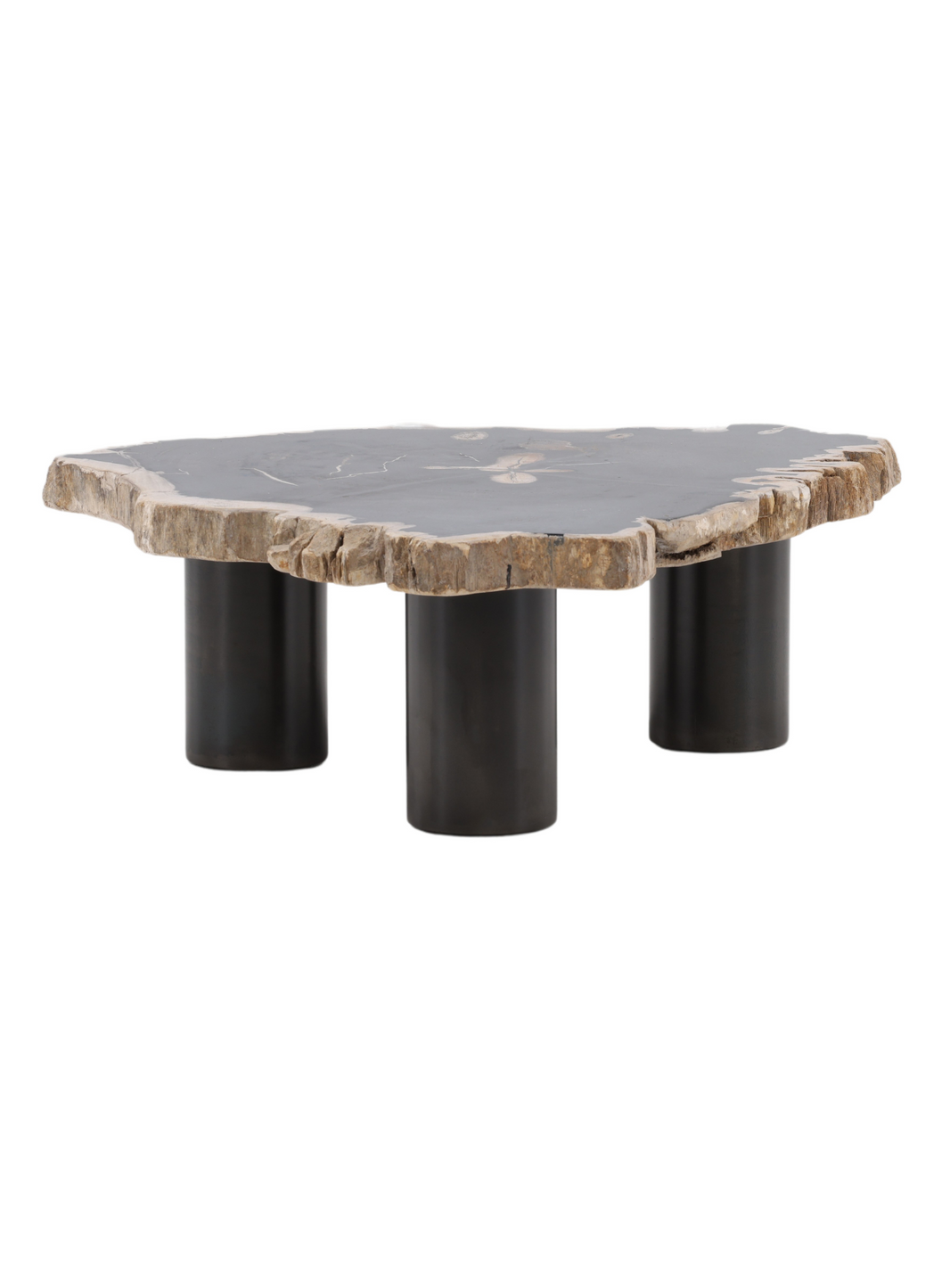 Petrified Wood Coffee Table - Small
