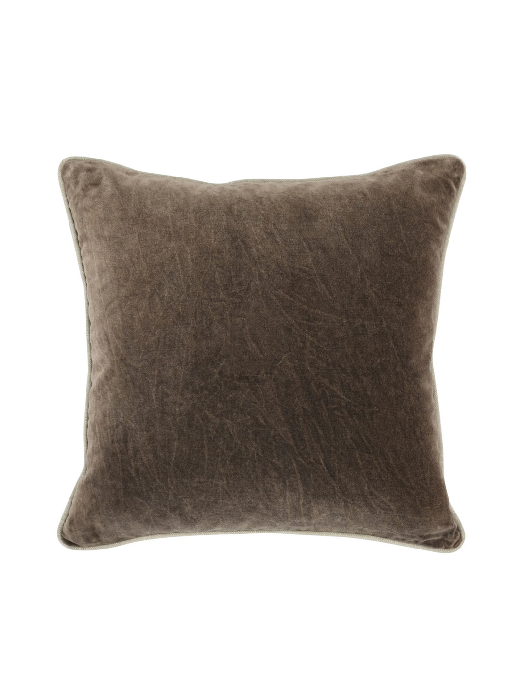 Velvet Throw Pillow