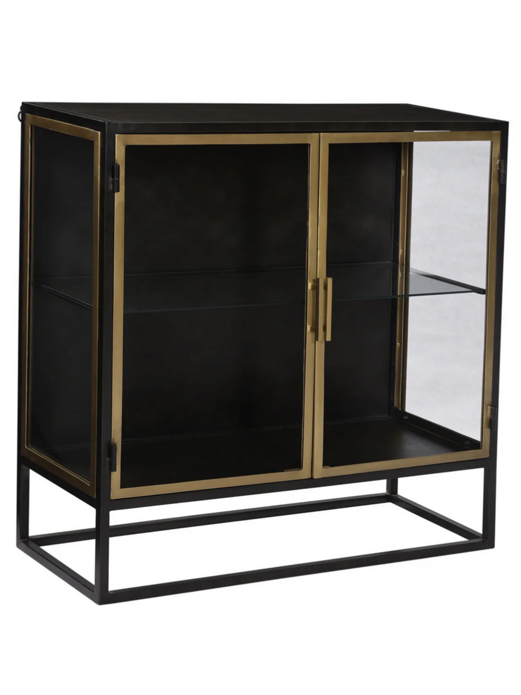 2-Door Metal & Glass Cabinet