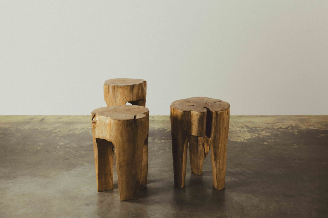 African Root Table